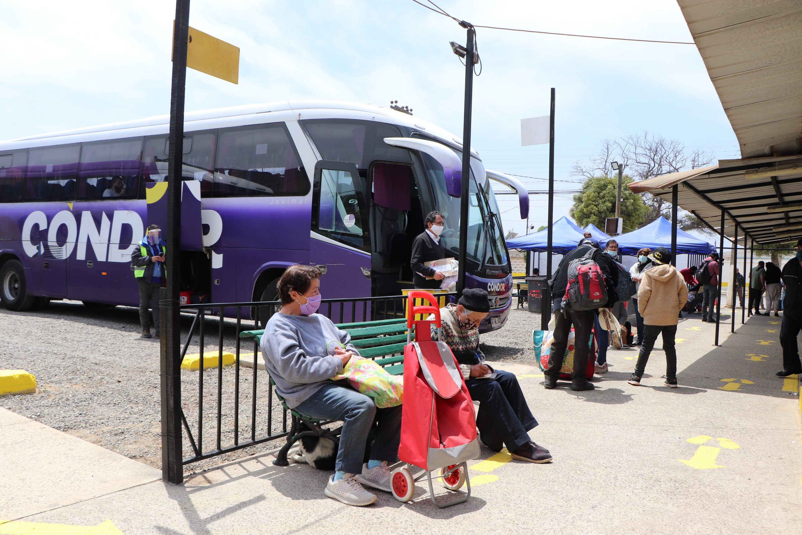 Terminal de buses de Quintero reinicia funcionamiento | Ilustre